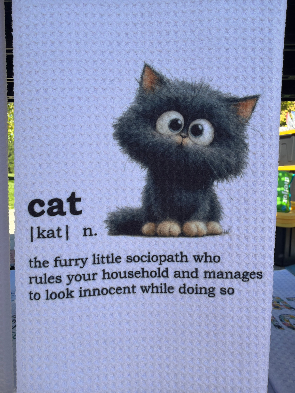 Cat (Kat)